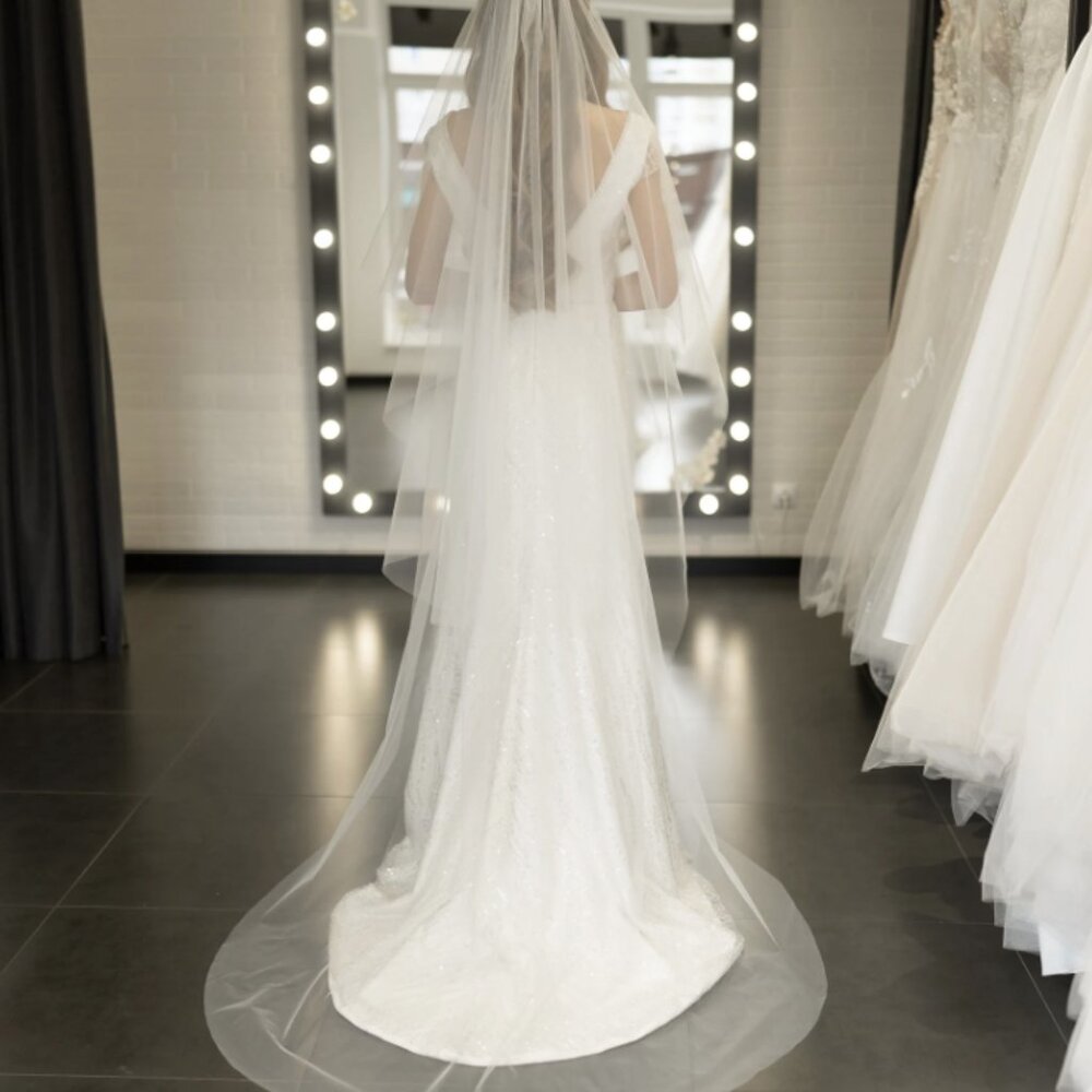 Double Tier Simple Wedding Veil with Blusher - Cathedral Length